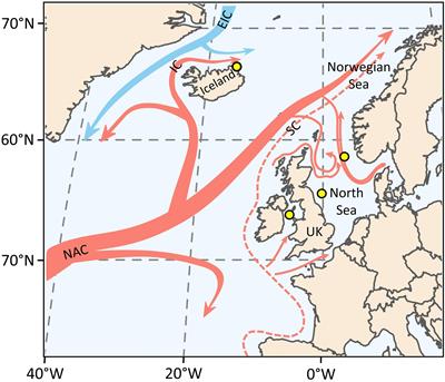 Ontogenetic δ15N Trends and Multidecadal Variability in Shells of the Bivalve Mollusk, Arctica islandica